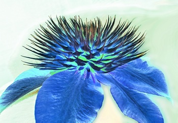 F 069B